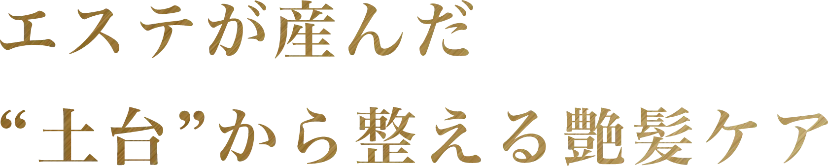 エステが産んだ "土台"から整える艶髪ケア