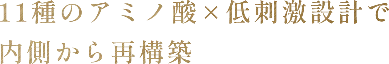 11種のアミノ酸×低刺激設計で内側から再構築