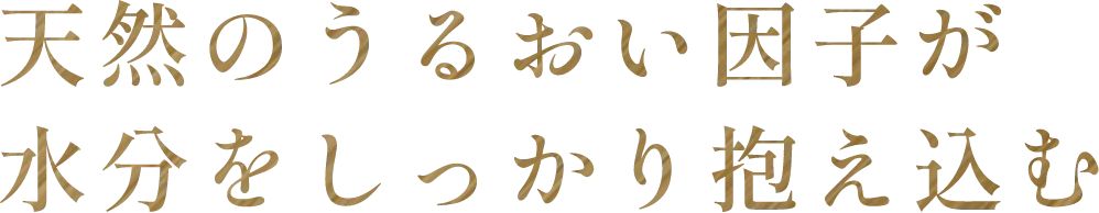 天然のうるおい因子が水分をしっかり抱え込む