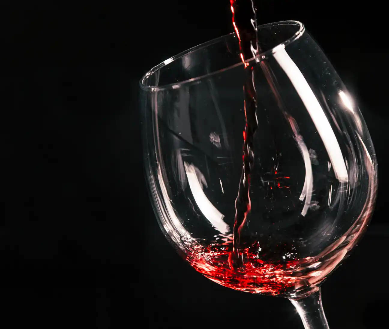 Red Wine Extract Powder