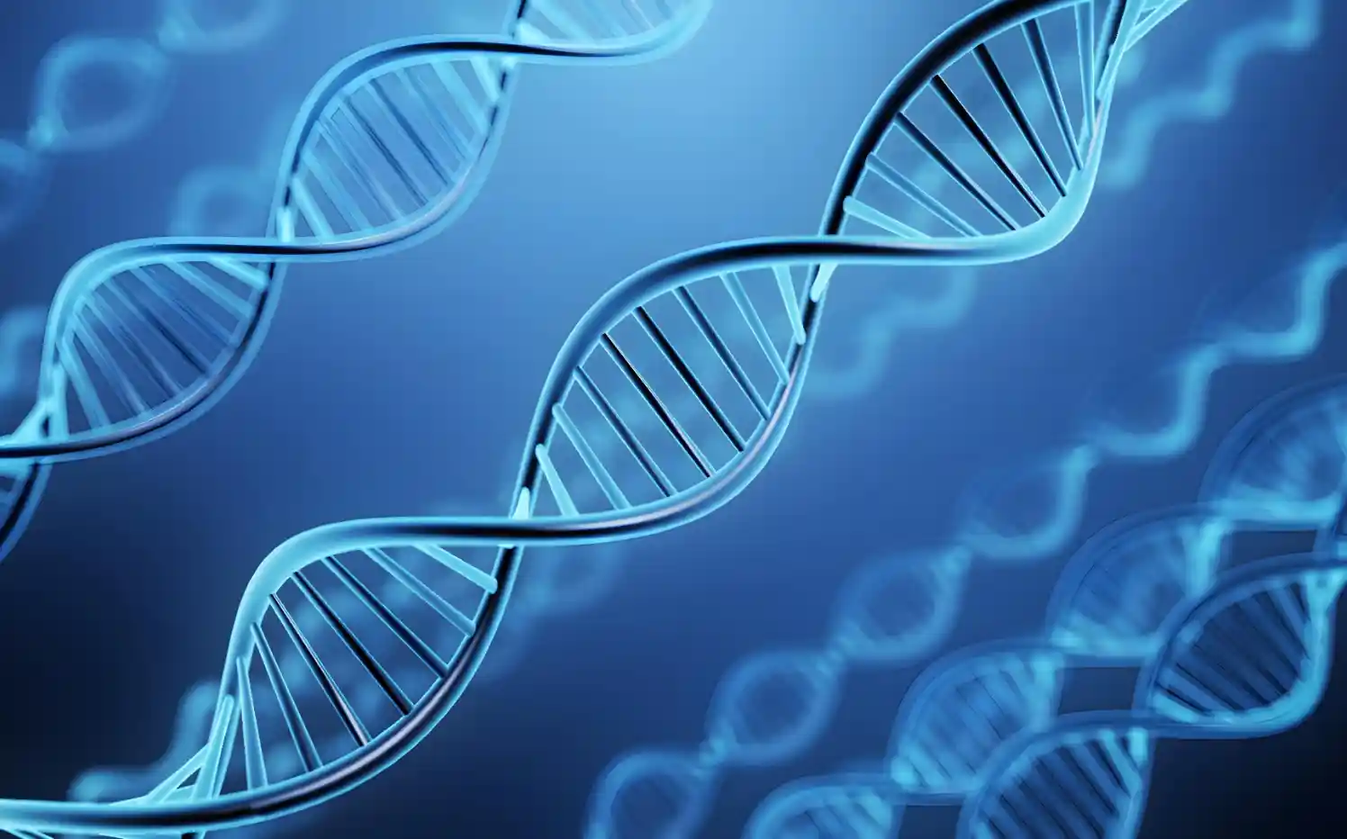 DNA