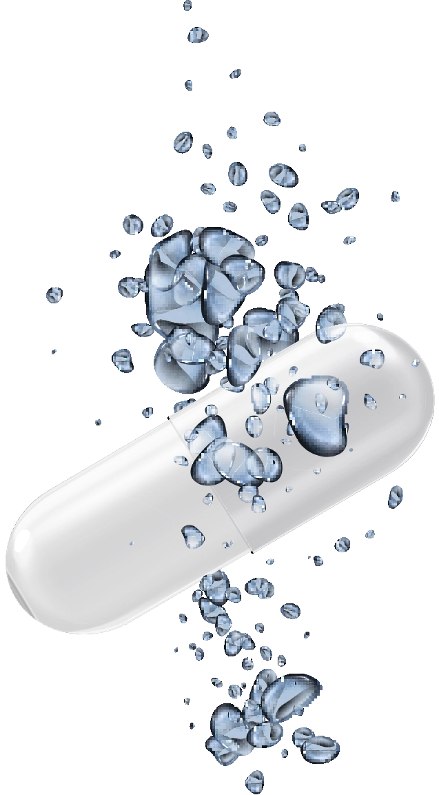 Supplement