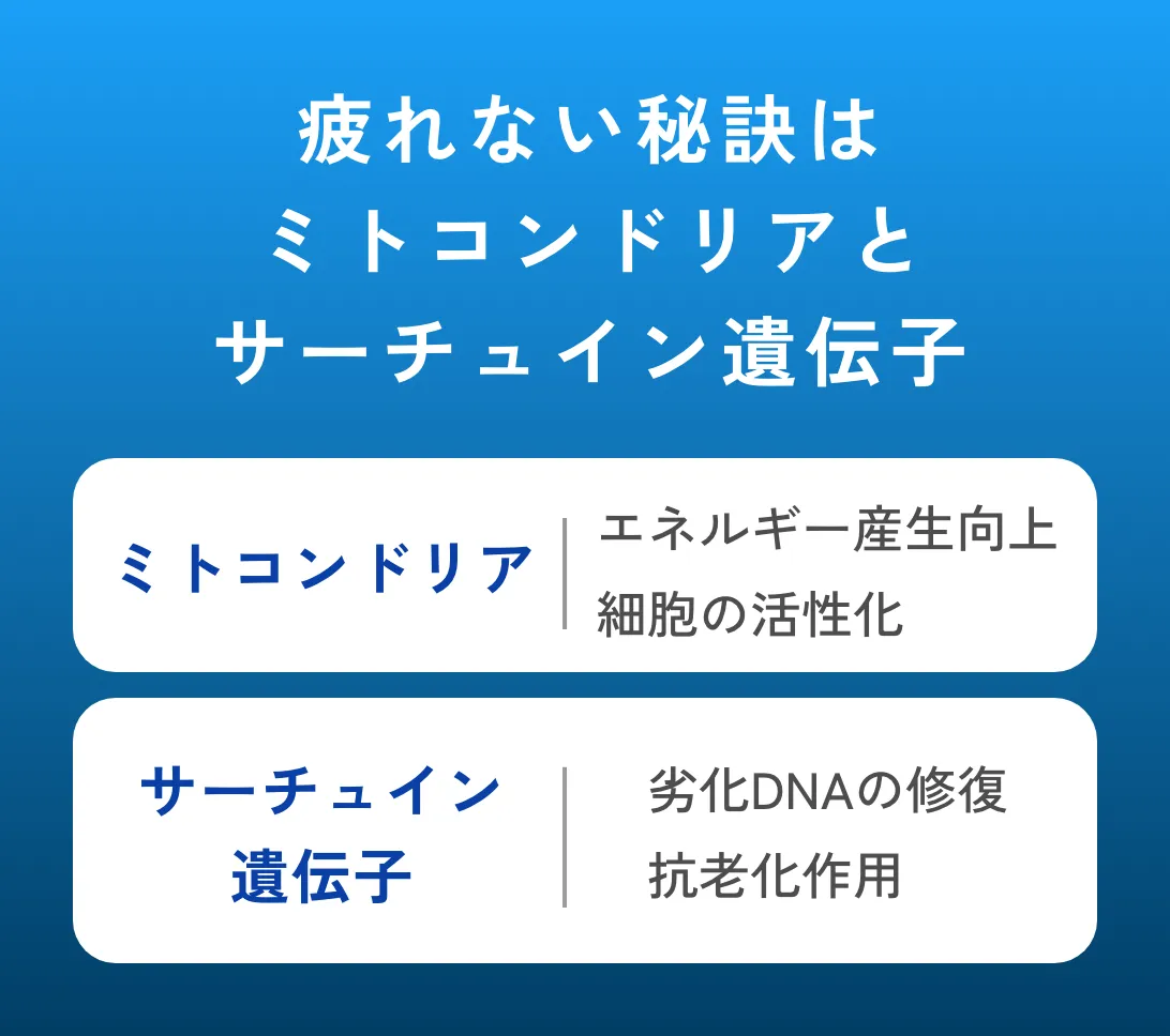 疲れない秘訣