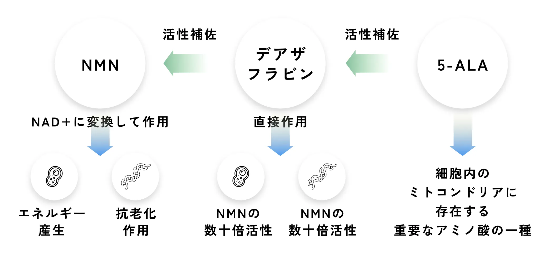 疲れない秘訣フロー