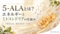 5-ALAとミトコンドリアの仕組み_salus