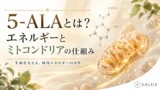 5-ALAとミトコンドリアの仕組み_salus