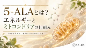 5-ALAとミトコンドリアの仕組み_salus