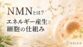 NMNとは_salus