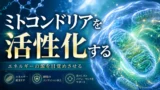 ミトコンドリアの活性化とエネルギー_salus
