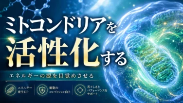 ミトコンドリアの活性化とエネルギー_salus